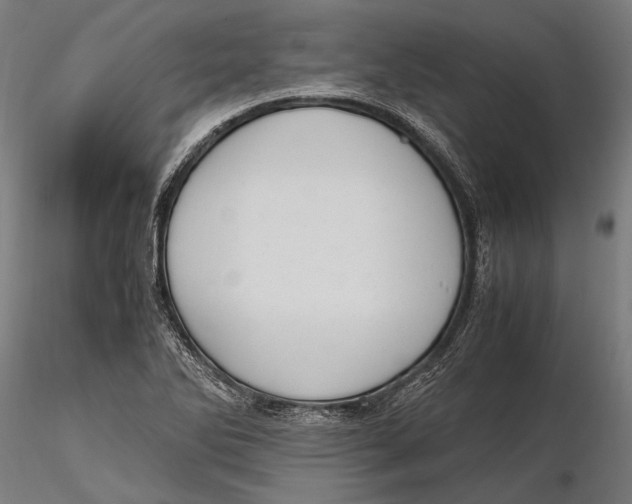 X0000115661270200912031324