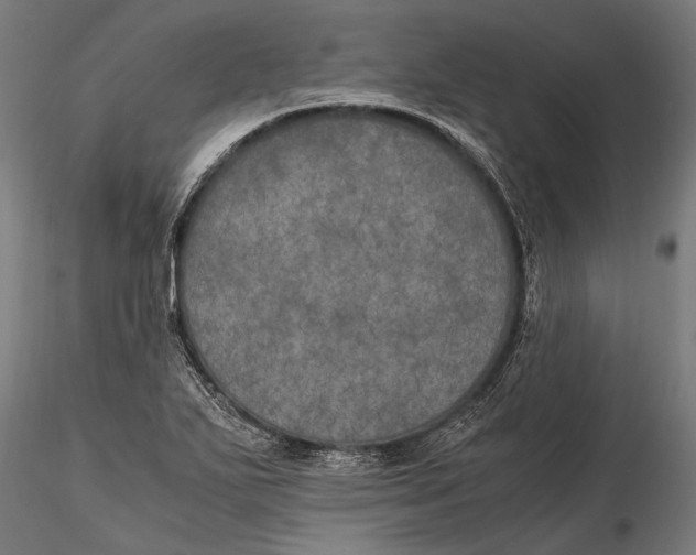 X0000115661271200912031324
