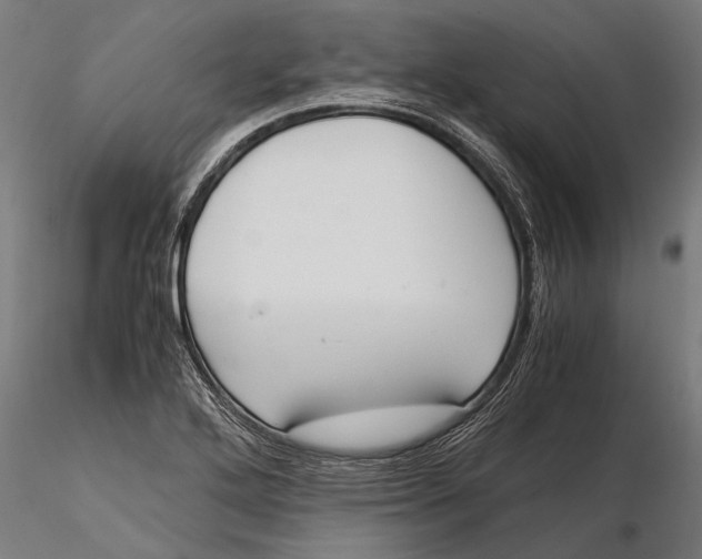 X0000115661272200912031324