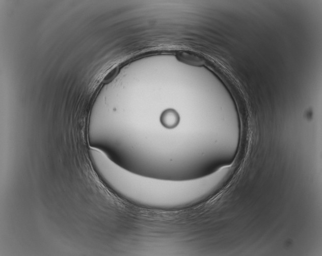 X0000115661273200912031324