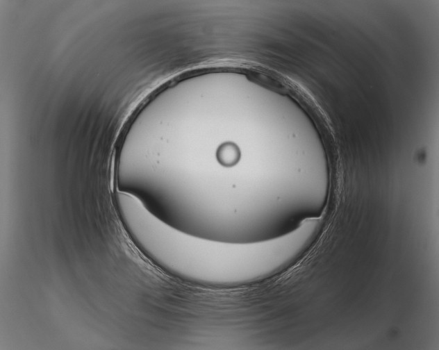 X0000115661276200912031324