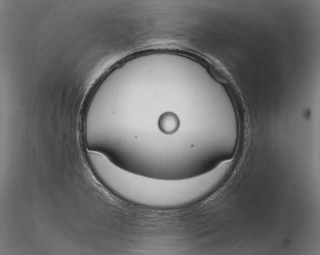 X0000115661277200912031324