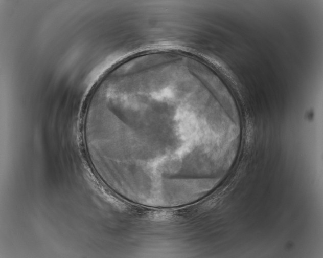 X0000115661278200912031324
