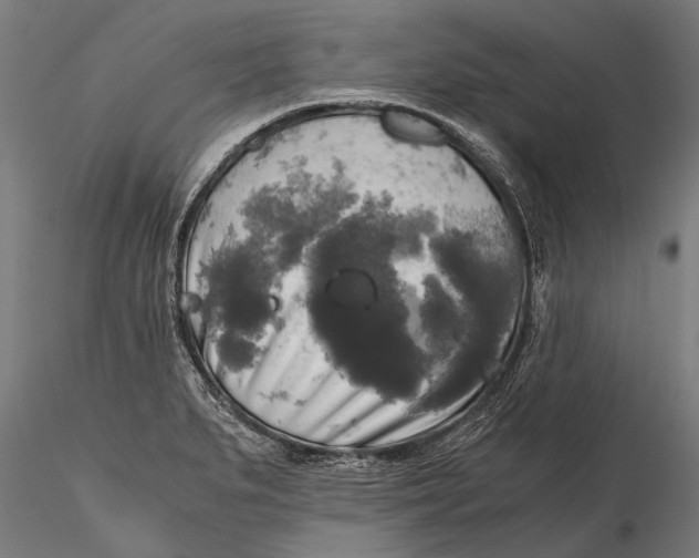 X0000115661279200912031324