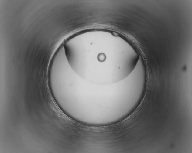 X0000115661280200912031324