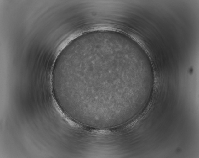 X0000115661282200912031324