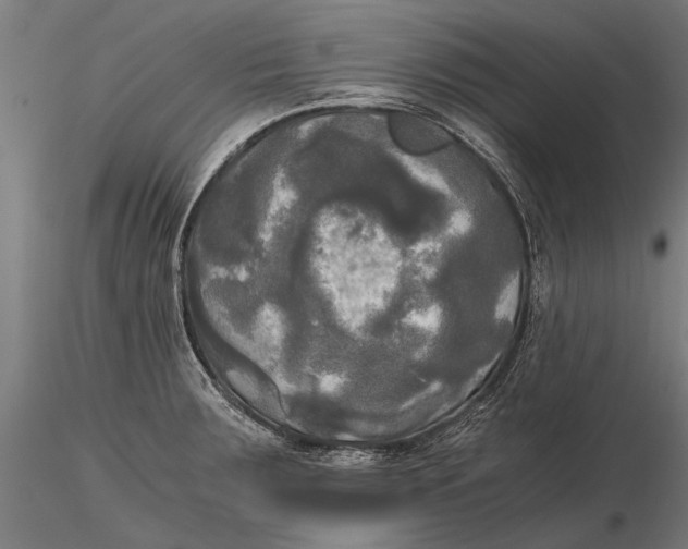 X0000115661283200912031324