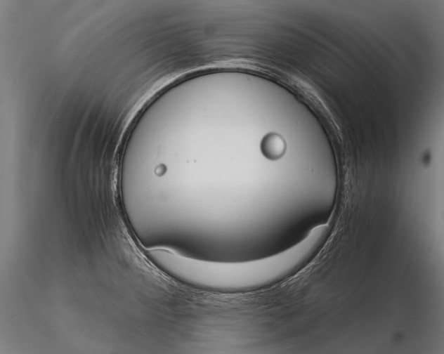 X0000115661284200912031324