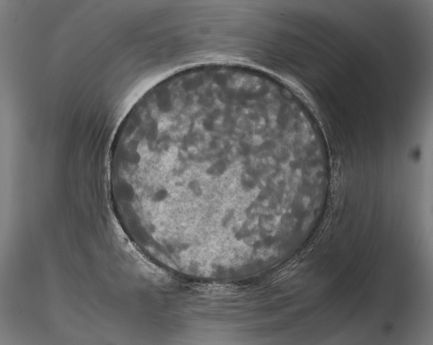 X0000115661287200912031324