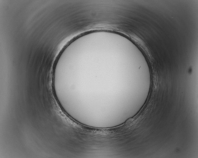 X0000115661288200912031324