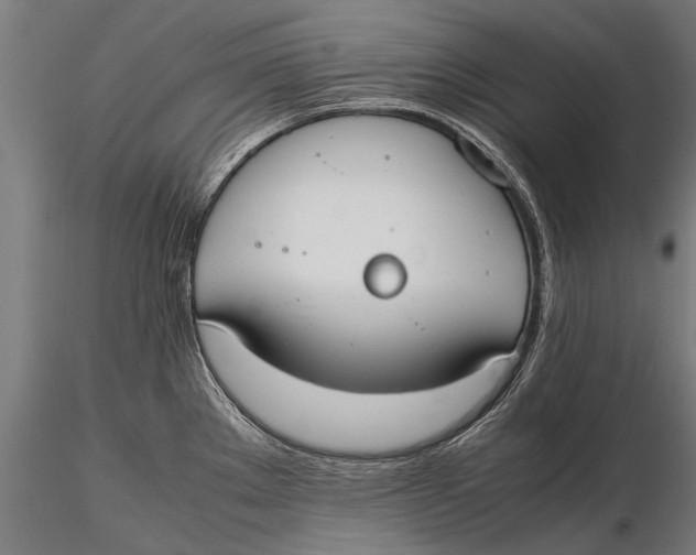 X0000115661289200912031324