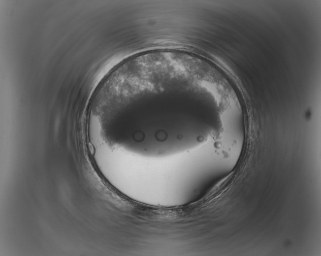 X0000115661291200912031324
