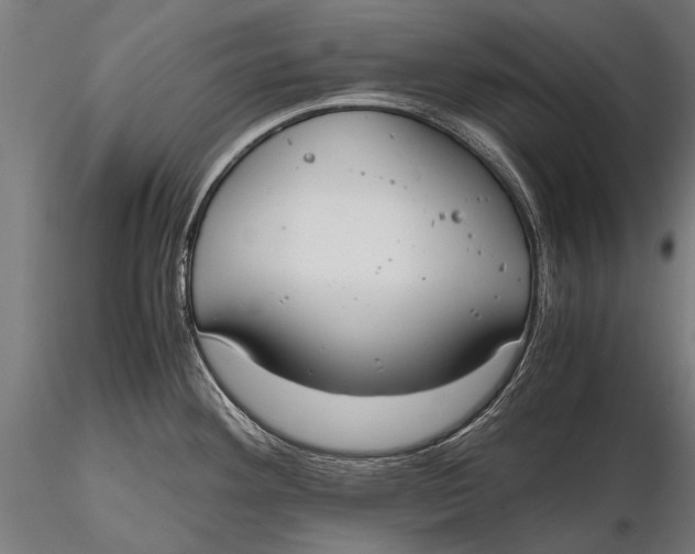 X0000115661292200912031324