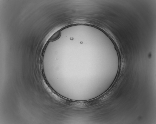 X0000115661293200912031324