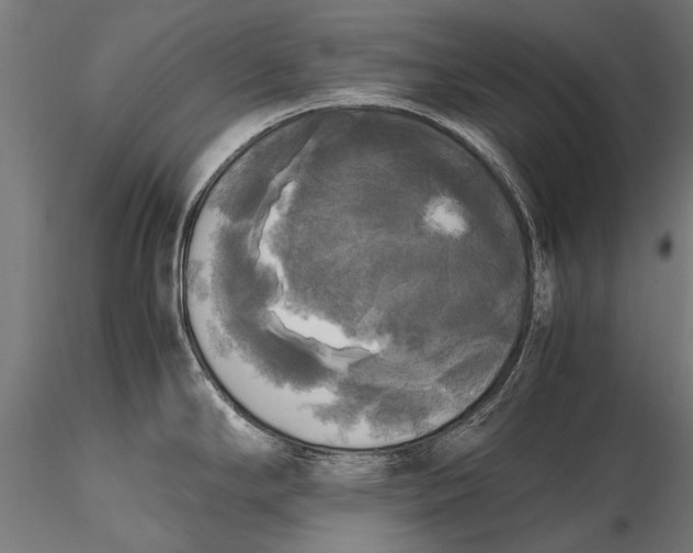 X0000115661294200912031324