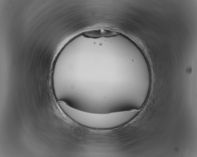 X0000115661296200912031324