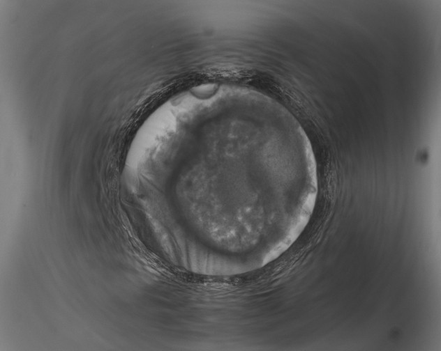 X0000115661297200912031323