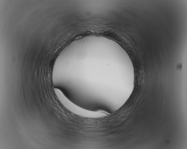 X0000115661298200912031323