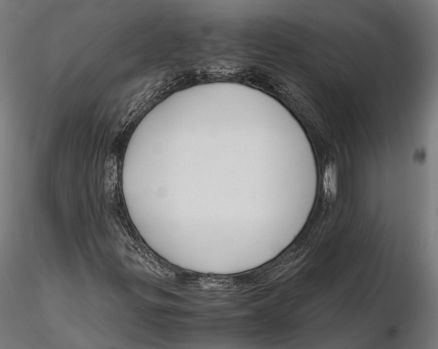 X0000115661299200912031323