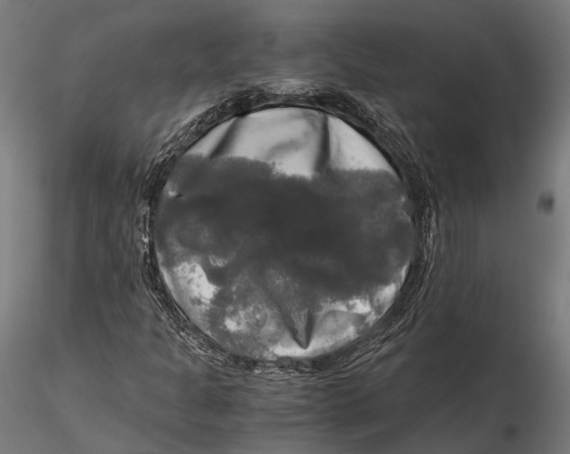 X0000115661301200912031323