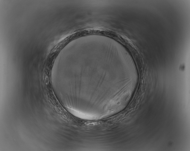 X0000115661303200912031323