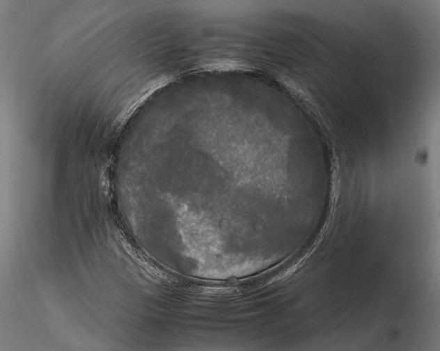 X0000115661305200912031323