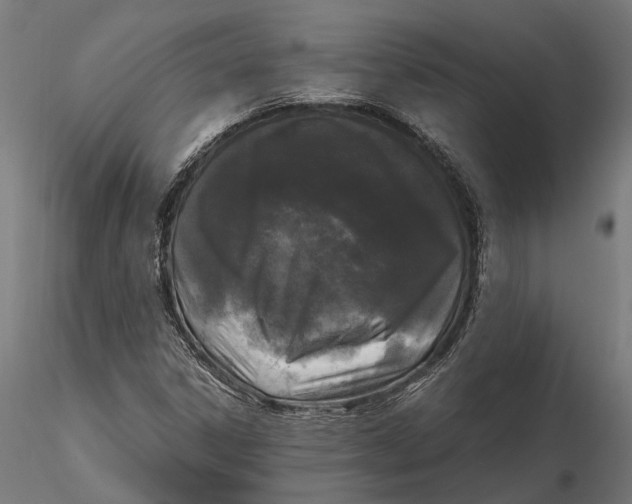 X0000115661306200912031323