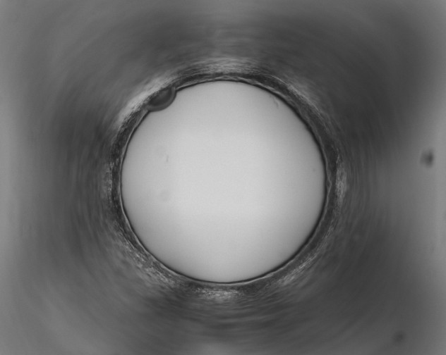 X0000115661309200912031323