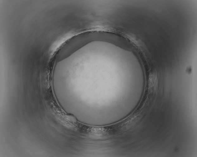 X0000115661310200912031323