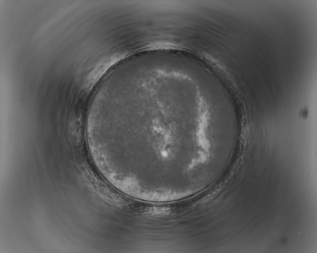 X0000115661313200912031323