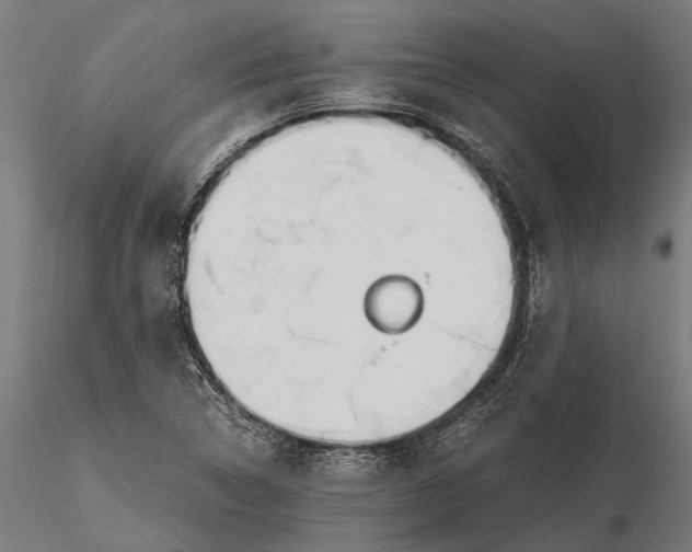 X0000115661314200912031323