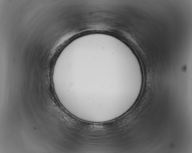 X0000115661315200912031323