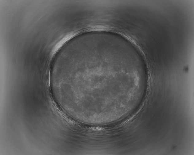 X0000115661317200912031323