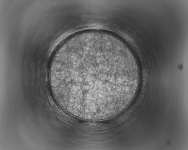 X0000115661318200912031323