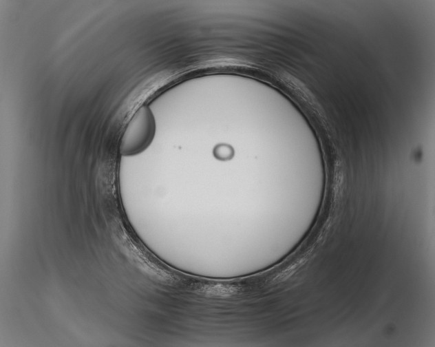 X0000115661321200912031323
