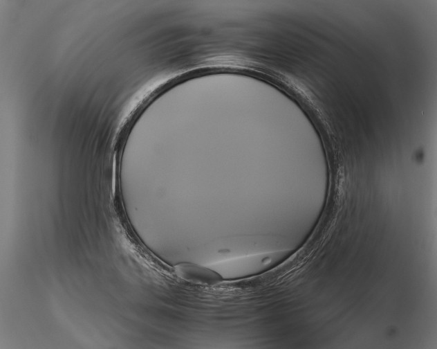 X0000115661323200912031323