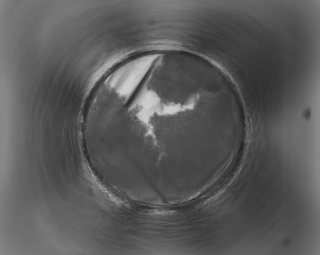 X0000115661325200912031323