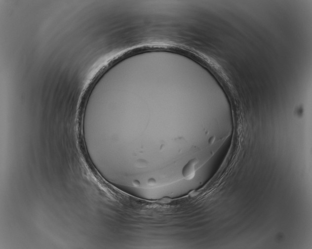 X0000115661327200912031323