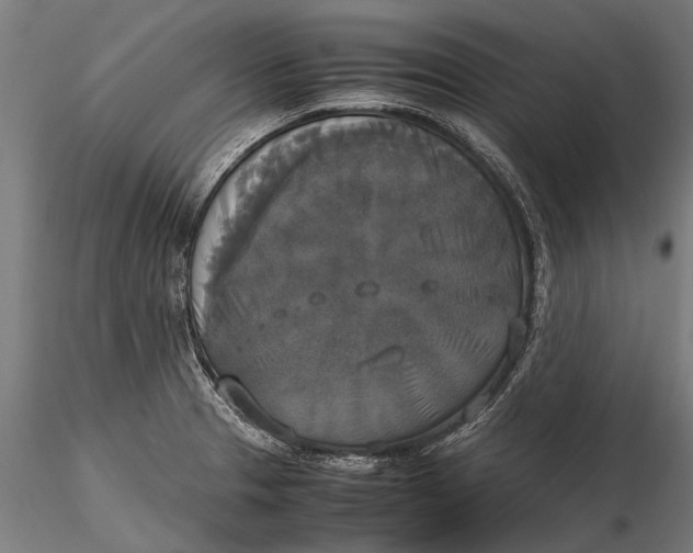 X0000115661329200912031323