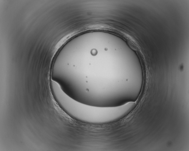X0000115661330200912031323