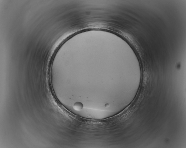X0000115661331200912031323