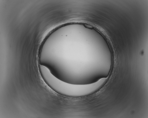 X0000115661334200912031323