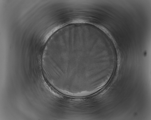 X0000115661337200912031323