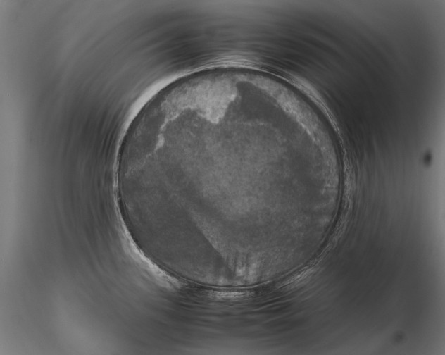 X0000115661339200912031324