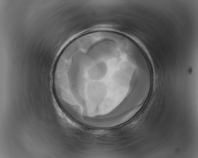 X0000115661341200912031324
