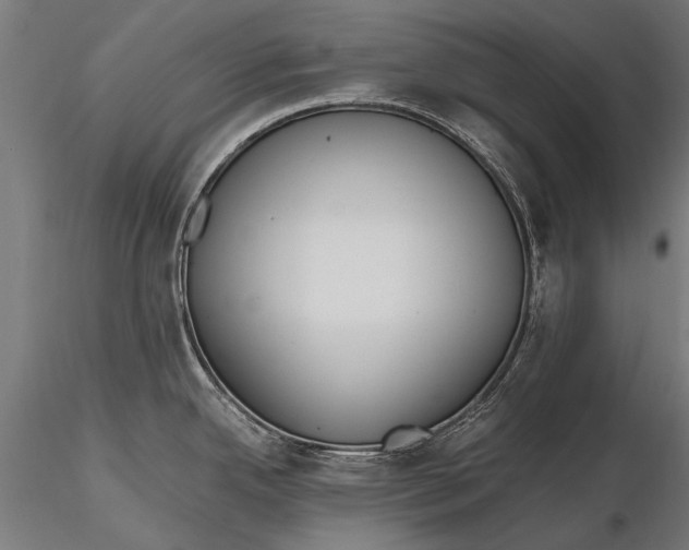 X0000115661342200912031324