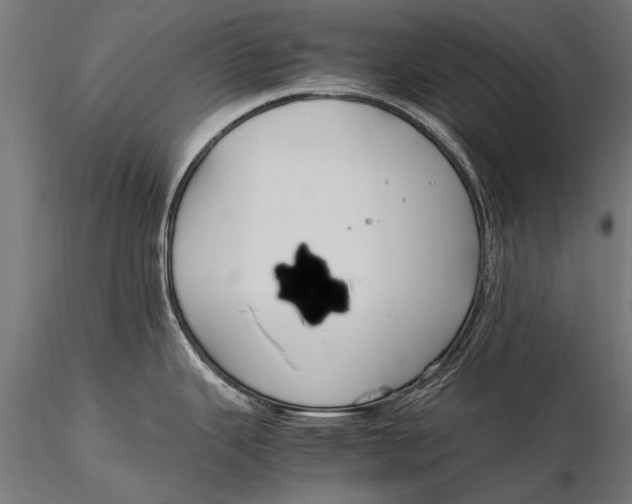 X0000115661343200912031324
