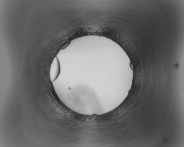 X0000115661345200912031323