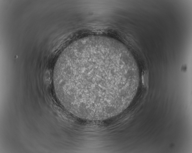X0000115661347200912031323