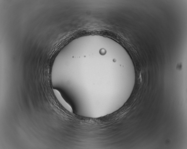 X0000115661348200912031323